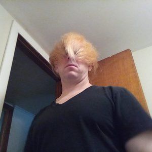 Meet your Posher, Walt